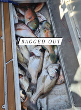 Load image into Gallery viewer, 5/0 SnappaSlappa Gangs 2pack