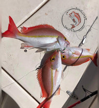 Load image into Gallery viewer, 5/0 SnappaSlappa Gangs 2pack